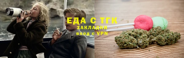 хмурый Арсеньев