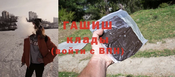 соль ск Новозыбков