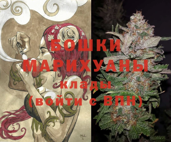хмурый Арсеньев